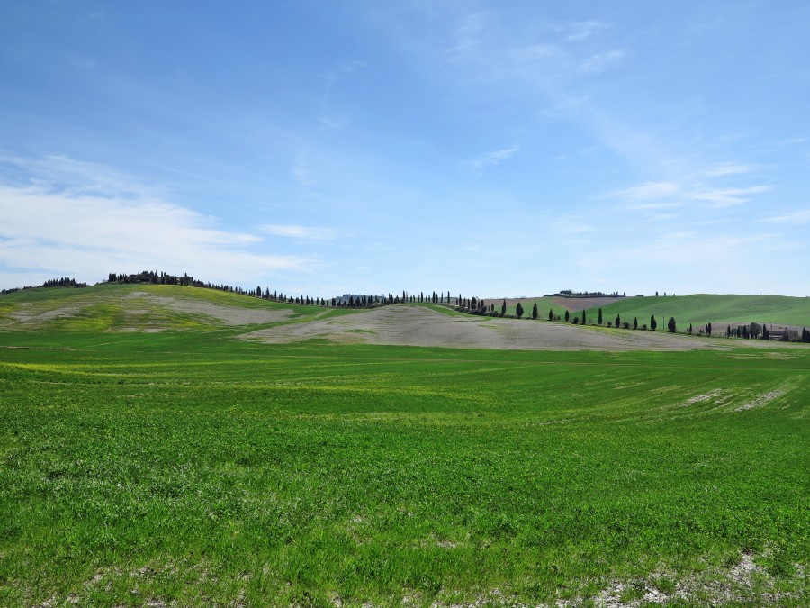 Crete Senesi