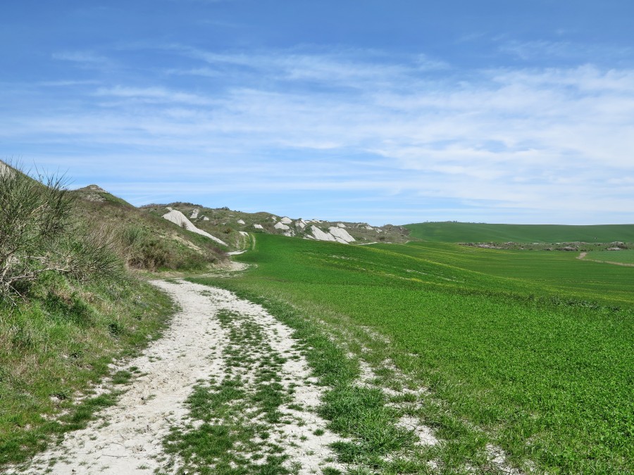 Crete Senesi