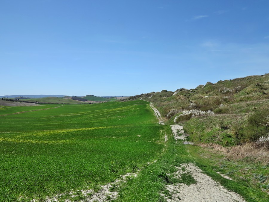 Crete Senesi