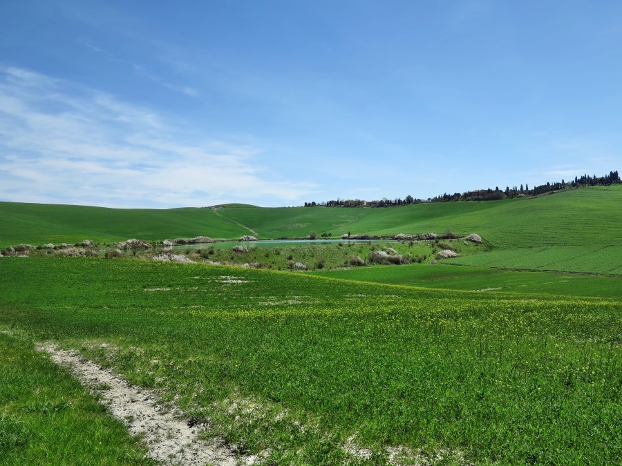 Crete Senesi