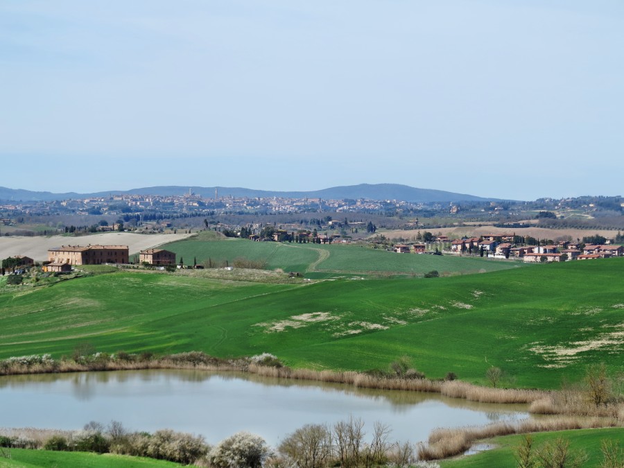 Crete Senesi