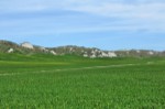 Crete Senesi