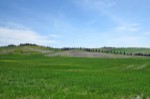 Crete Senesi