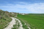 Crete Senesi