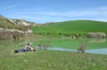 Crete Senesi