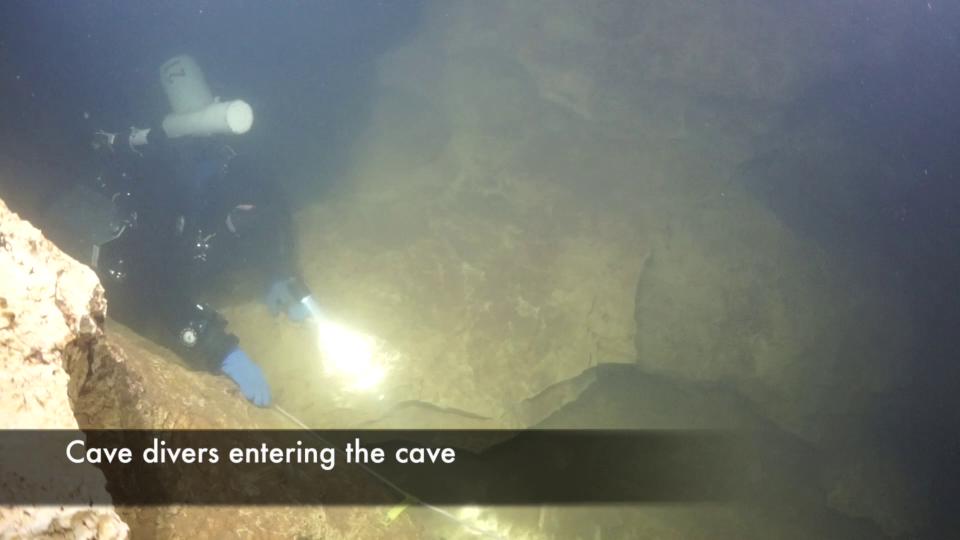 Aachquelle-Höhlenfisch