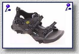 Teva
