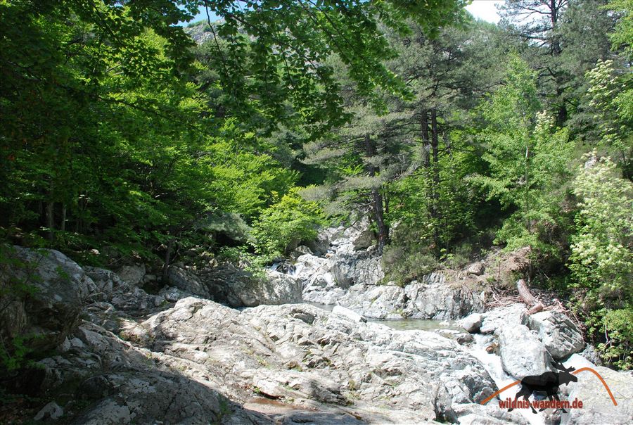 Cascades de Anglais