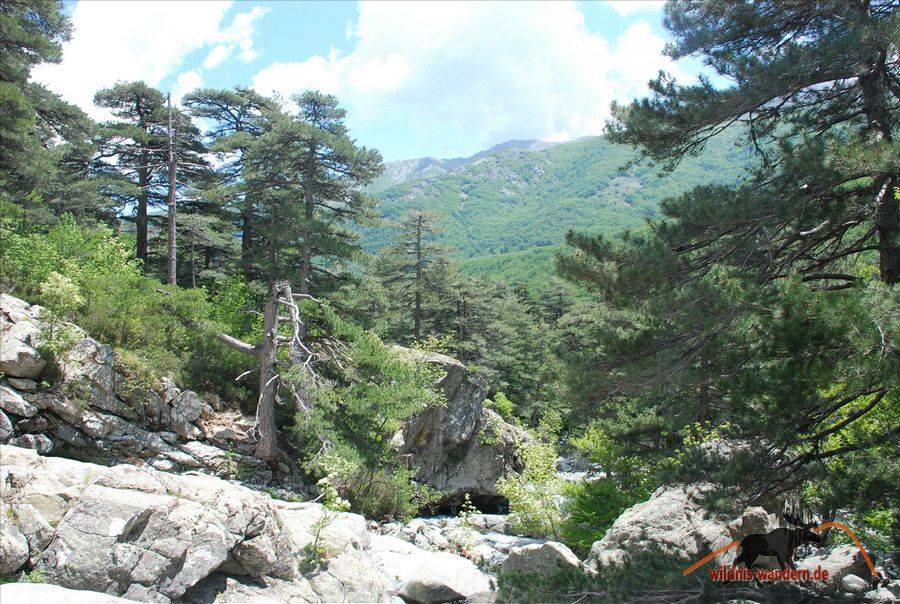 Cascades de Anglais