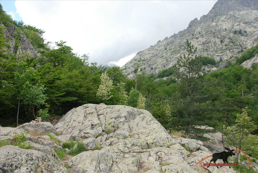 Cascades de Anglais