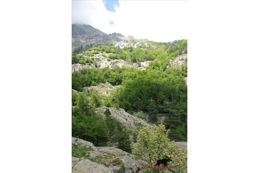 Cascades de Anglais
