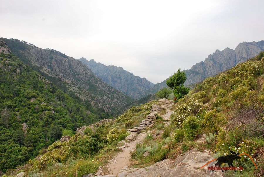 Tavignano-Schlucht