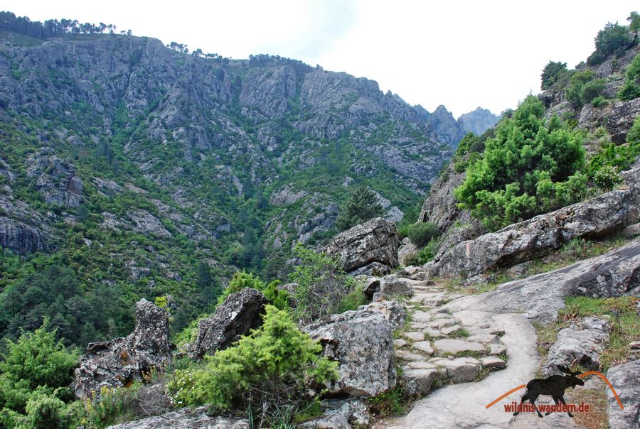 Tavignano-Schlucht