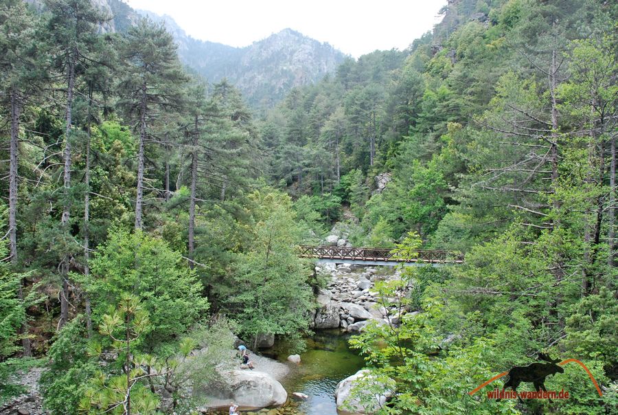 Tavignano-Schlucht