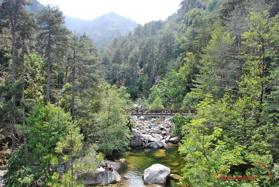 Tavignano-Schlucht