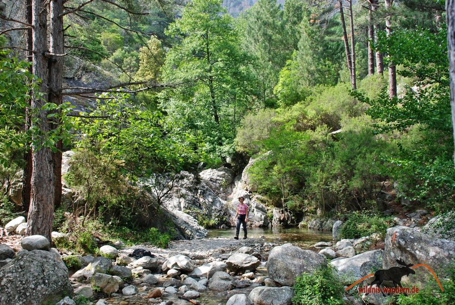 Tavignano-Schlucht