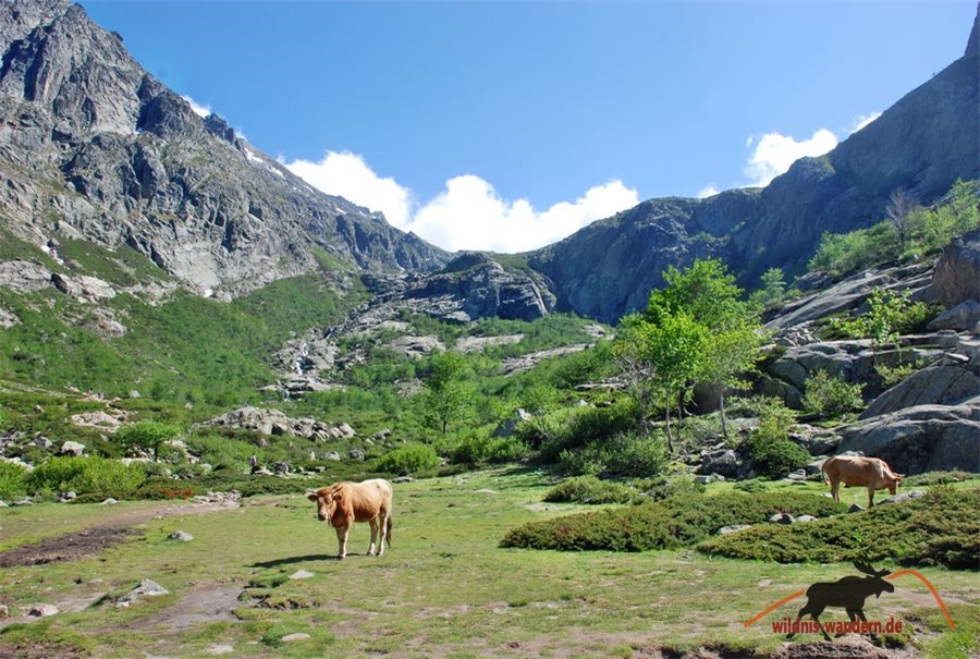 Lac de Melo