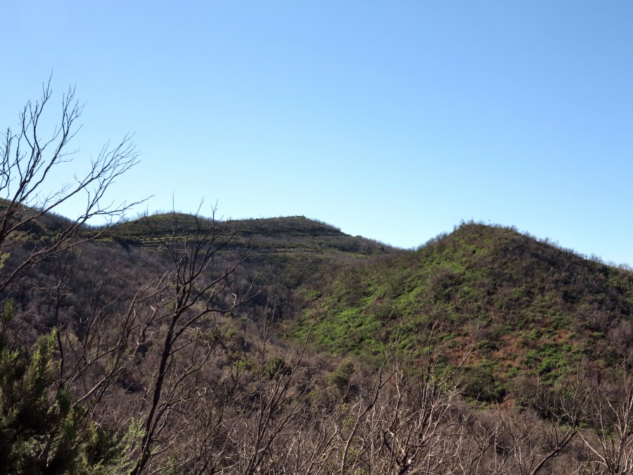 Auf den Garajonay wildniswandern.de