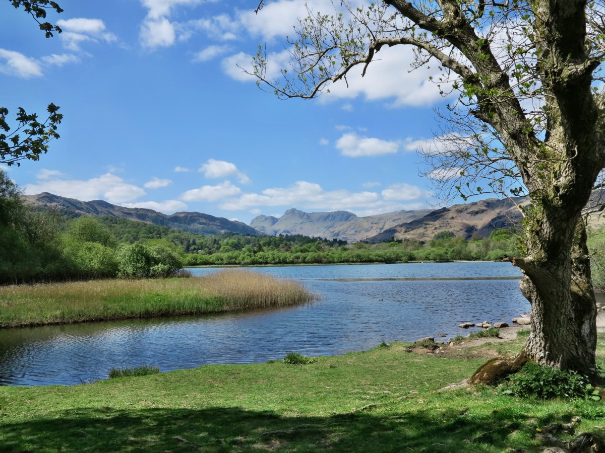 Tour of the Lake District - Elter Water