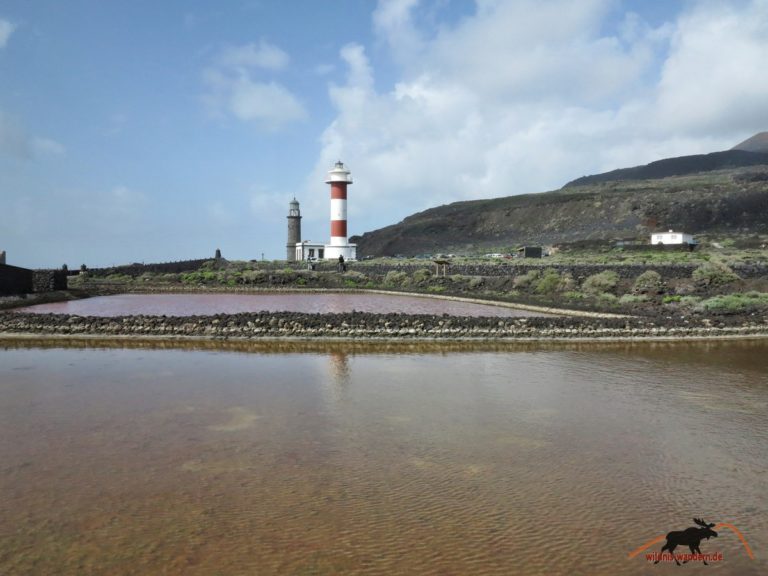 faro_fuencaliente_005 wildniswandern.de