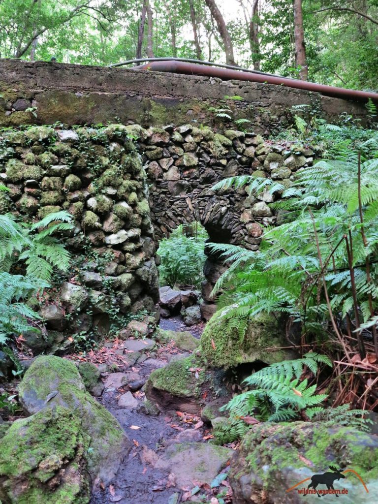 Durch den Cubo de La Galga wildniswandern.de