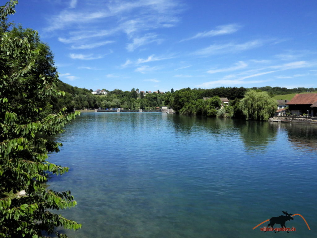 Von Rheinau zum Rheinfall wildniswandern.de