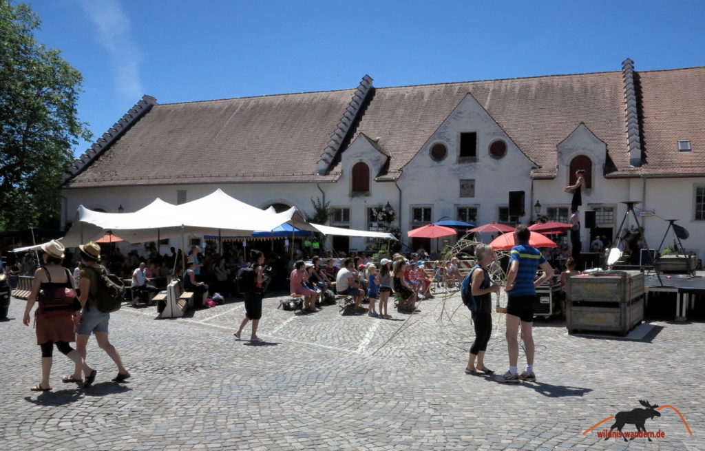 Von Rheinau zum Rheinfall wildniswandern.de