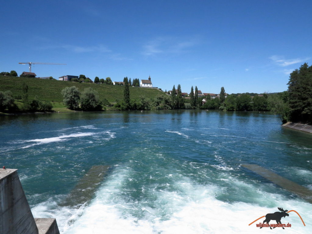 Von Rheinau zum Rheinfall wildniswandern.de