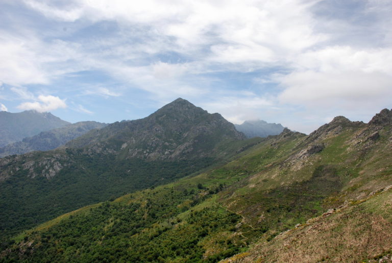 Panoramaweg auf den Monte Tolu wildniswandern.de