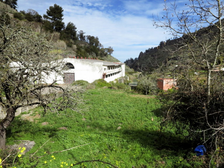 Barranco de la Virgen wildniswandern.de
