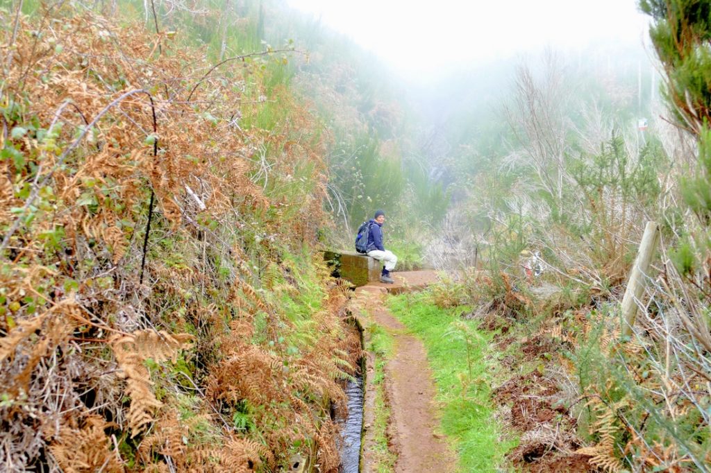 Levada do Paul