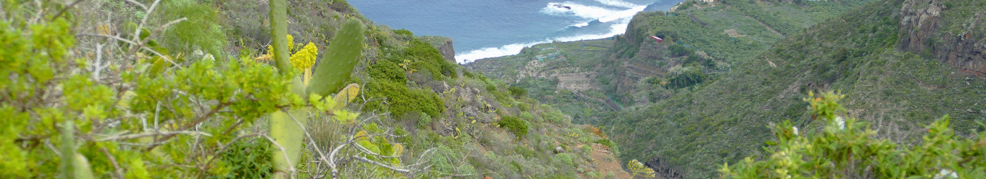 Barranco de Ruiz