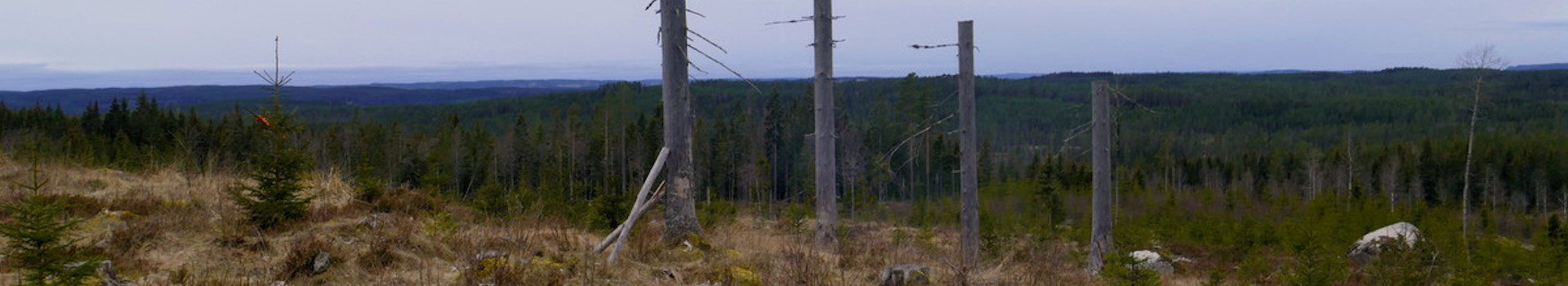 Isbitna – 7-Torp-Leden