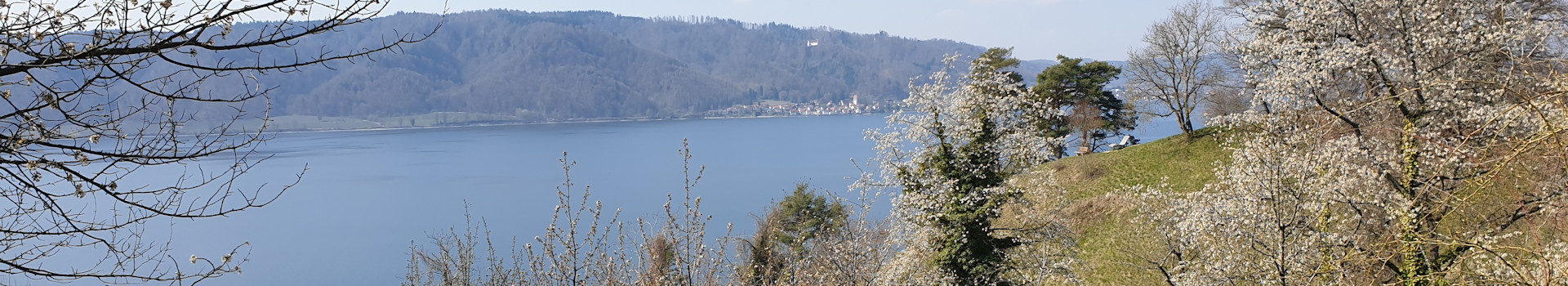 Frühjahrswanderung Sipplinger Berg