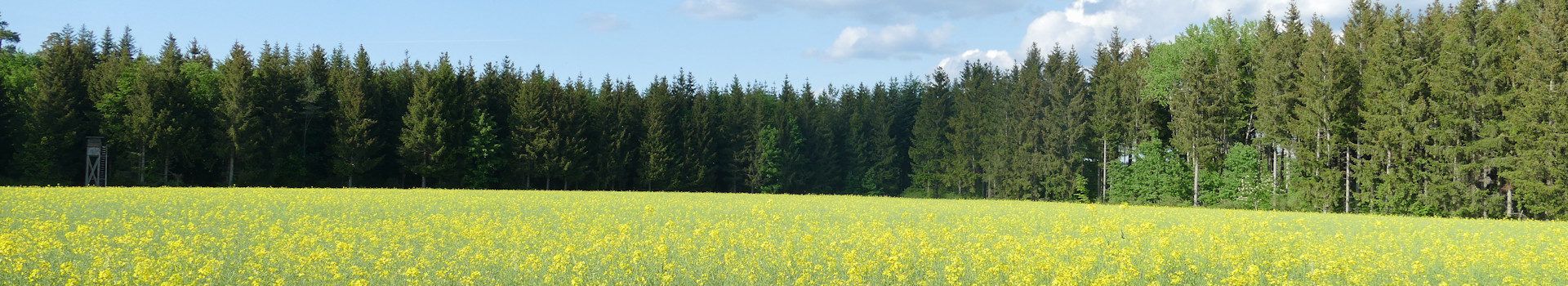 Höwenegg – Donauversinkung