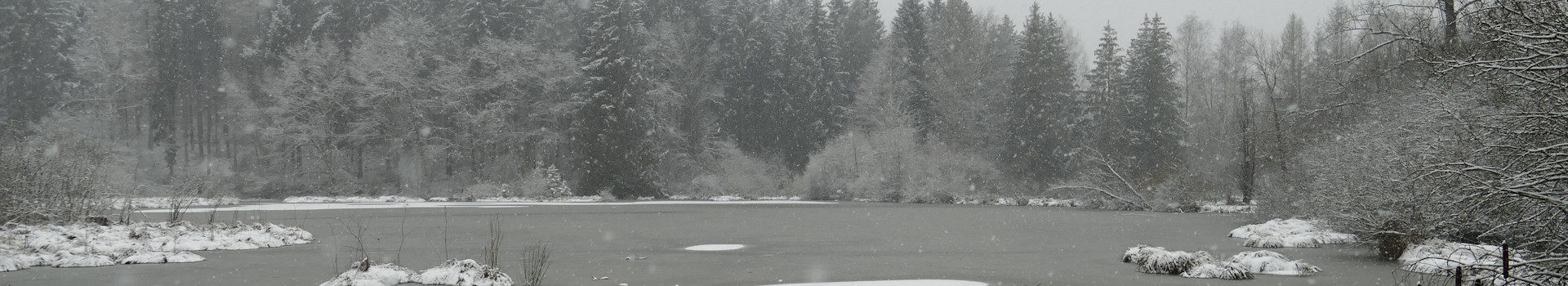 Litzelstettener-Dingelsdorfer-Weiher