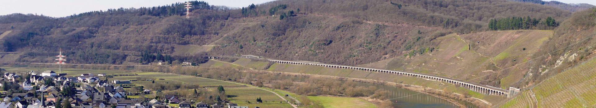 Marienburg-Mosel-Rundwanderung