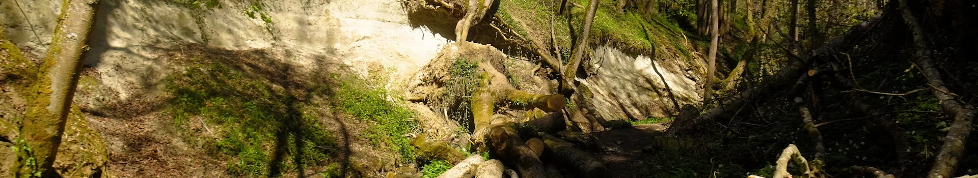 Klingenbachschlucht