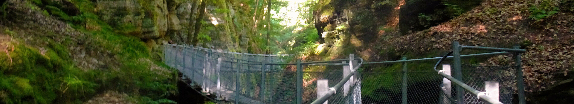 Berdorf – Roitzbachschlucht – Räuberhöhle – Adlerhorst