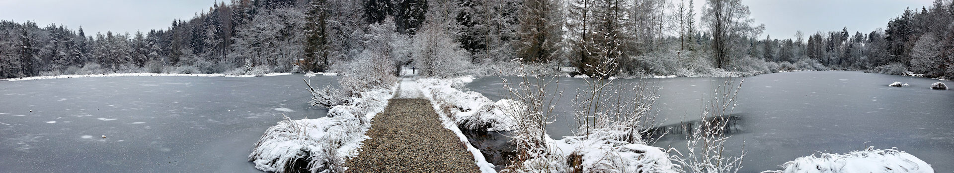 Winterrunde im Dingelsdorfer Ried