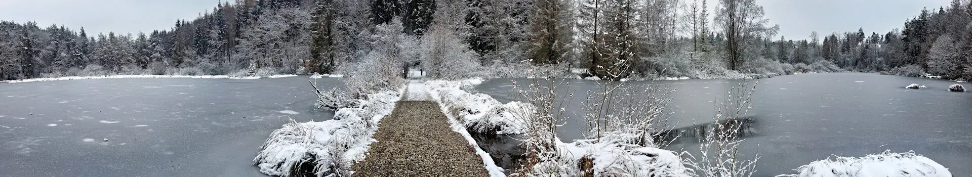 #caption5 Winterrunde im Dingelsdorfer Ried