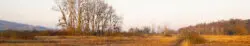 Hepbacher-Leimbacher Ried