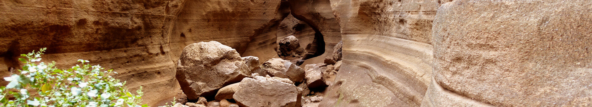 Barranco de las Vacas
