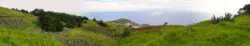 Árbol Garoé - Ventejís