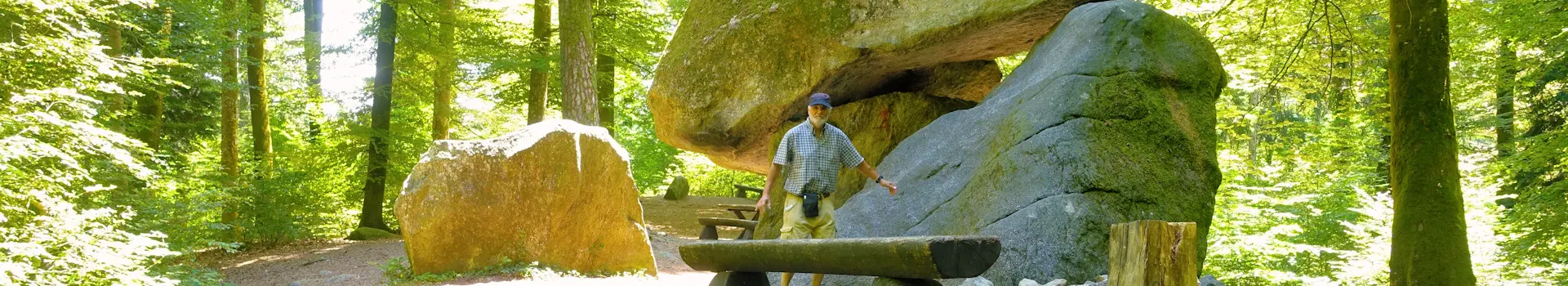 Erdmannlistein – Bremgarten