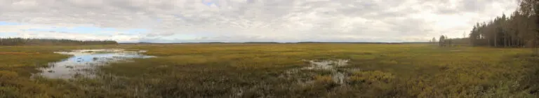 Store Mosse Nationalpark