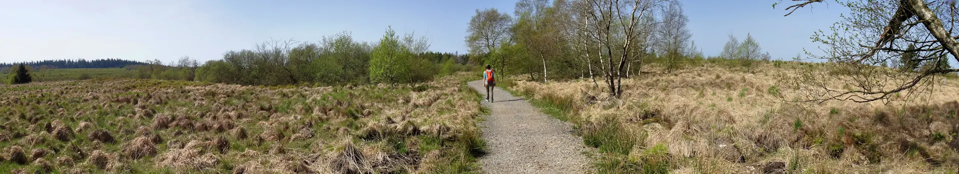 Venn-Runde Baraque Michel