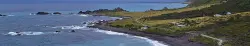 Neuseeland - Cape Palliser - Pelzrobbenkolonie