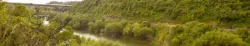 Neuseeland - Manawatu Gorge - Tawa Loop Walk