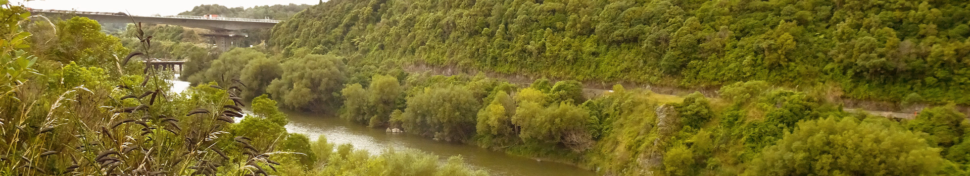 Neuseeland – Manawatu Gorge – Tawa Loop Walk